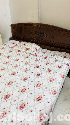 Queen size bed (Shegun wood)